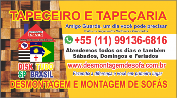 https://desmontagemdesofa.com.br/